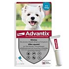 Advantix petit chien (4-10 kg) - 4 pipettes- La Compagnie des Animaux
