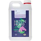 Hilton Herbs Cush X Gold per cavallo 3 L
