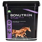 Audevard Bonutron Stud G1-L6 cheval