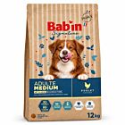 Bab'in Signature Chien Medium Adulte