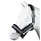 Back On Track Licol Haze Collection Gris cheval
