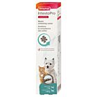 Beaphar IntestoPro Pâte pour Chats et Petits Chiens < 15 kg 20 ml