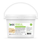 ESC Laboratoire Boswellia Serrata Pure Cheval 1 kg