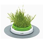 Fontaine à eau Cat It 3 L - La Compagnie des Animaux