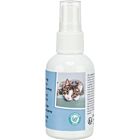 Trixie Spray Catnip à base d'herbe à chat à vaporiser Chat 50 ml