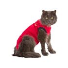 Medical Pet Shirt Chat