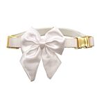 Croci Ceremony Collare Bride cane M