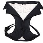 Croci Ceremony Pettorina Groom cane nera XS