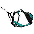 Cani Gear harnais Symbioz chien bleu