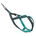 Cani Gear harnais Olympia chien