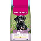 Eukanuba Growing Puppy Large Breed con Pollo 12 kg