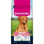 Eukanuba Senior Large Breed  per Cane con Agnello e Riso 12 kg