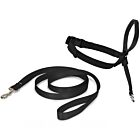 Easy Walk Licol Chien noir M