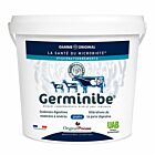 Germinibe Ruminants Poudre 5 kg