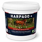 Greenpex Harpago+ Complément articulations cheval