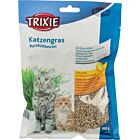 Trixie Herbe à chat tendre en sachet pour chatons et chats 100 g