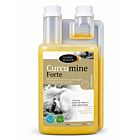 Horse Master Curcumine Forte Cheval 1 L