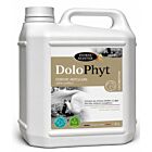 Horse Master Dolophyt confort locomoteur cheval 5 L