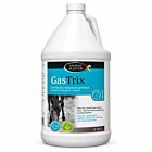 Gastrix Bidon 3.78 L - La Compagnie des Animaux