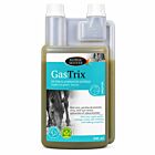 Horse Master Gastrix Flacon 946 ml