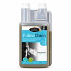 Horse Master Pulmochron Solution gênes respiratoires 1 L