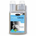 Horse Master Pulmochron Solution gênes respiratoires 500 ml