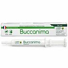 Labbêa Buccanima 15 ml

