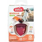 Zolux Flasher Nocciola USB per cane bordeaux
