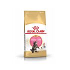 Royal Canin Maine Coon Kitten 4 kg- La Compagnie des Animaux