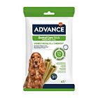Advance Dental Care Stick chien 180 g - La Compagnie des Animaux