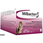 Milbactor Gatto + di 2kg 2 cpr