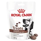Royal Canin Vet Cane Gastrointestinal Treats 230 g