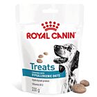Royal Canin Vet Cane Hypoallergenic Treats 230 g