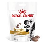 Royal Canin Vet Cane Urinary Treats 230 g