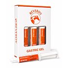 Reverdy Gastric Gel x3