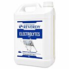 Reverdy Electrolytes Liquide
