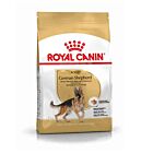 Royal Canin Berger Allemand Adult 11 kg - La Compagnie des Animaux