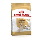 Royal Canin Labrador Retriever Adult 5+ 12 kg