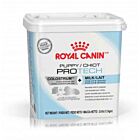 Royal Canin Puppy PROTECH premier lait maternisé pour chiot 1,2 kg- La Compagnie des Animaux