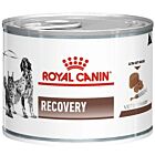 Royal Canin Vet Recovery 12 x 195 g
