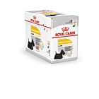 Royal Canin Canine Care Nutrition Dermacomfort mousse - La Compagnie des Animaux