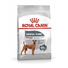 Royal Canin Canine Care Nutrition Medium Dental Care - La Compagnie des Animaux