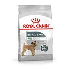 Royal Canin Canine Care Nutrition Mini Dental Care - La Compagnie des Animaux
