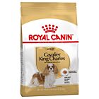 Royal Canin Cavalier King Charles Adult - La Compagnie des Animaux