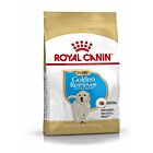 Royal Canin Golden Retriever Junior - La Compagnie des Animaux