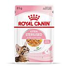 Royal Canin Kitten Sterilised bustina in gelatina 12 x 85 g