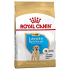 Royal Canin Labrador Junior - La Compagnie des Animaux