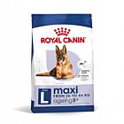 Royal Canin Maxi Senior + de 8 ans - La Compagnie des Animaux