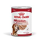 Royal Canin Medium Ageing 410 g