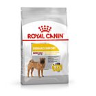 Royal Canin Canine Care Nutrition Medium Dermacomfort